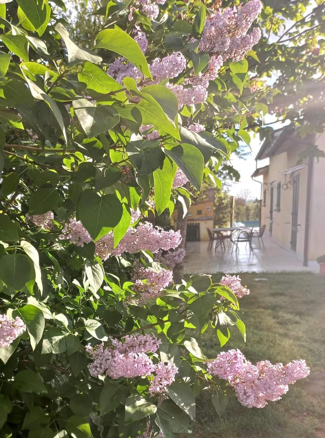 Willa La Casa Di Tommy Cortona Zewnętrze zdjęcie